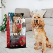 Prochoice Fit & Healty Adult Kuzu Etli ve Pirinçli Köpek Maması 12 Kg - Thumbnail