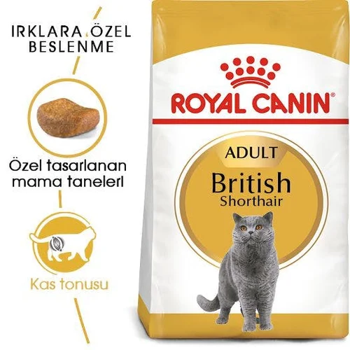 Royal Canin British Shorthair Kuru Kedi Maması 2 Kg - Thumbnail