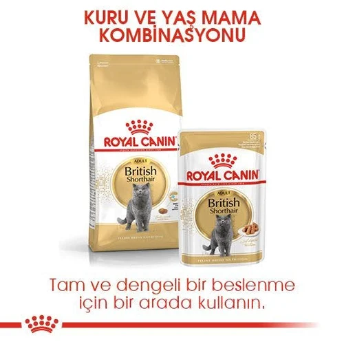 Royal Canin British Shorthair Yetişkin Kedi Pouch Yaş Mama 85 Gr - Thumbnail