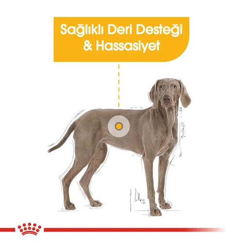 Royal Canin CCN Maxi Dermacomfort Köpek Maması 12 Kg - Thumbnail