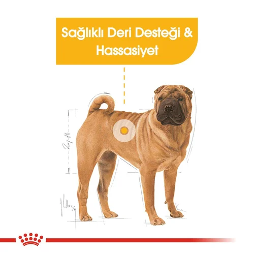 Royal Canin CCN Medium Dermacomfort Köpek Maması 12 Kg - Thumbnail