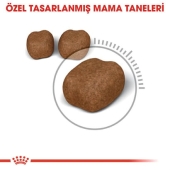 Royal Canin Dental Care Kedi Maması 1,5 Kg - Thumbnail