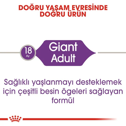 Royal Canin Giant Adult Dev Irk Köpek Maması 15 Kg - Thumbnail