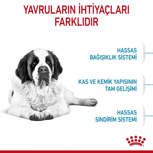 Royal Canin Giant Junior Dev Irk Köpek Maması 15 Kg - Thumbnail