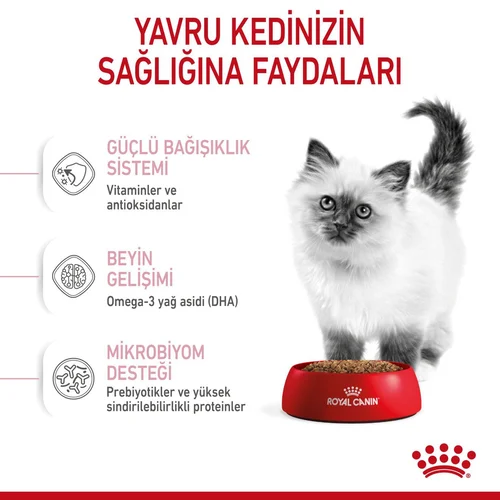 Royal Canin Kitten Yavru Kuru Kedi Maması 10 Kg - Thumbnail