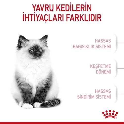 Royal Canin Kitten Yavru Kuru Kedi Maması 10 Kg - Thumbnail