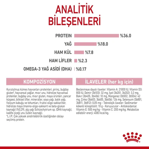 Royal Canin Kitten Yavru Kuru Kedi Maması 2 Kg - Thumbnail