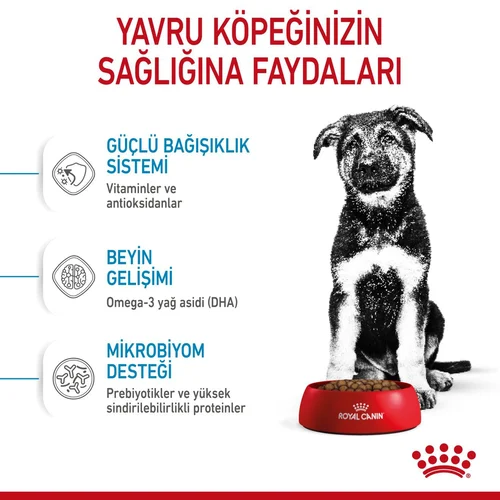 Royal Canin Maxi Puppy Büyük Irk Köpek Maması 15 Kg - Thumbnail