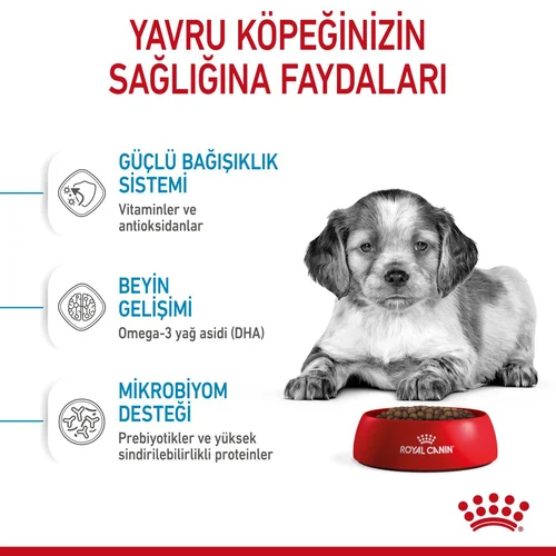 Royal Canin Medium Puppy Orta Irk Kuru Köpek Maması 15 Kg - Thumbnail