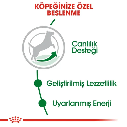 Royal Canin Mini Adult +8 Yaş Yaşlı Köpek Maması 2 Kg - Thumbnail