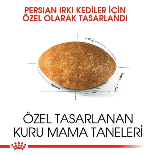 Royal Canin Persian Adult Kuru Kedi Maması 2 Kg - Thumbnail