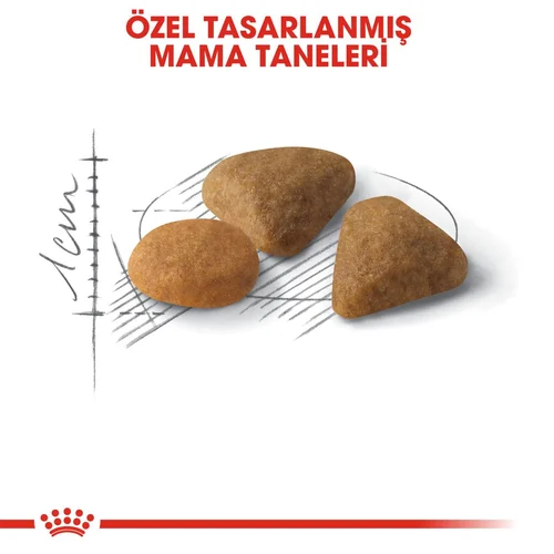 Royal Canin Savour Exigent Kuru Kedi Maması 2 Kg - Thumbnail