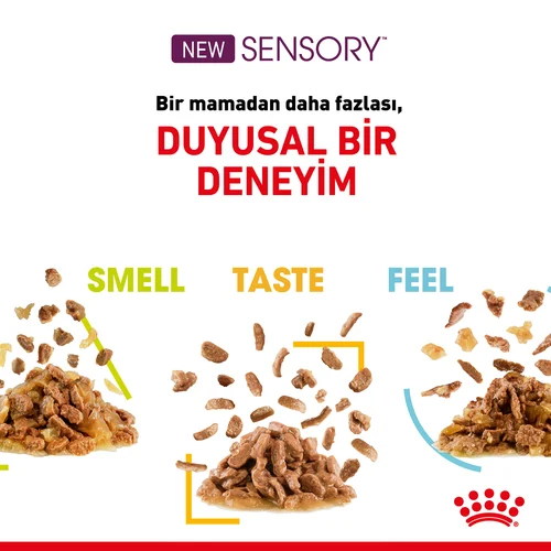 Royal Canin Sensory Feel Etli ve Balıklı Soslu Kedi Pouch Yaş Mama 12*85 Gr - Thumbnail