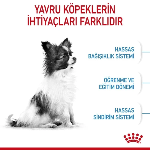 Royal Canin Xsmall Puppy Kuru Köpek Maması 3 Kg - Thumbnail